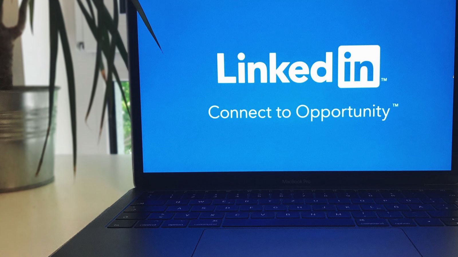 LinkedIn Content Planning: Make B2B Expertise Concrete The LinkedIn logo displayed on a laptop screen